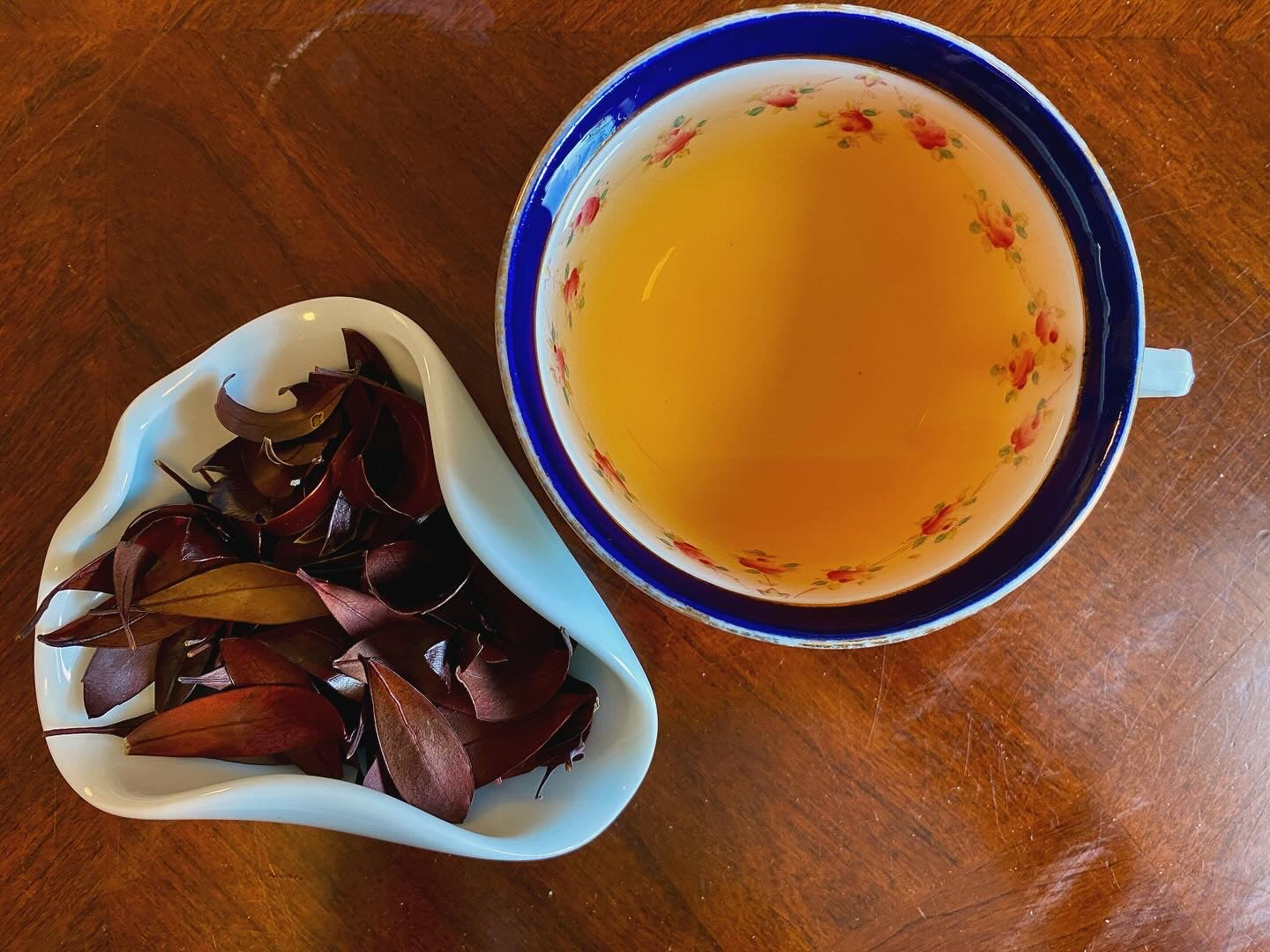 Inkberry | Herbal Tea