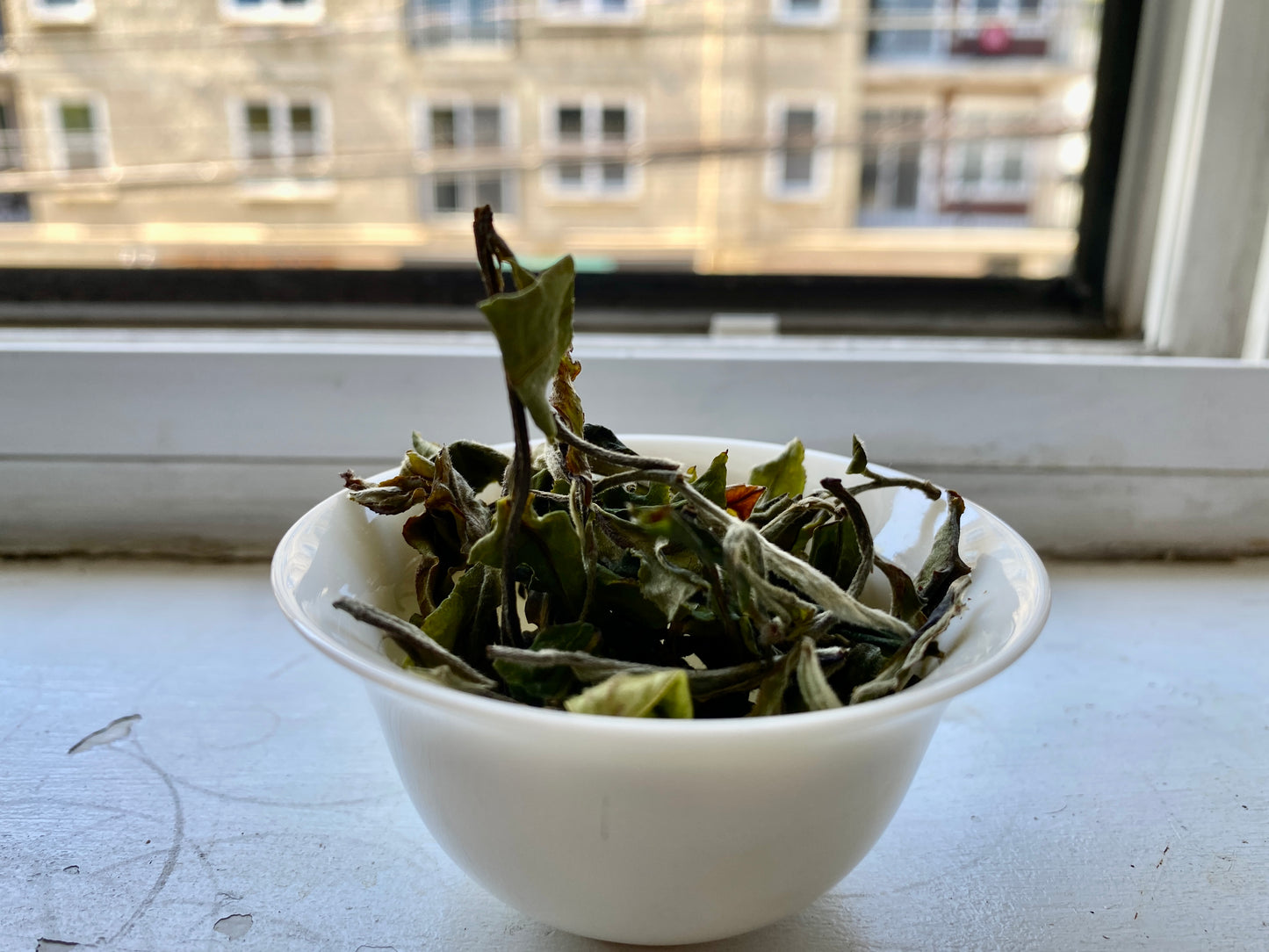 Hidden Path | Shou Mei White