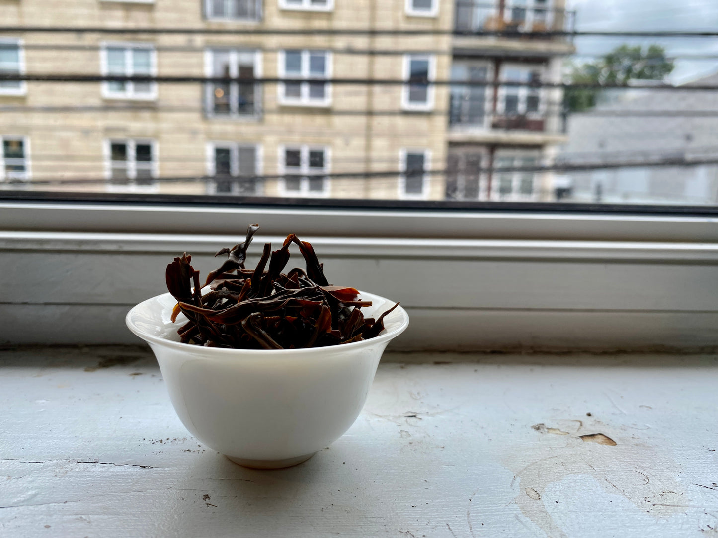 Fruit Salad | Black Tea