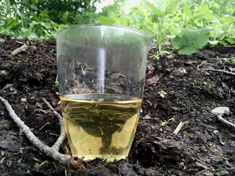 Dreamscape | 2021 Raw Pu'er