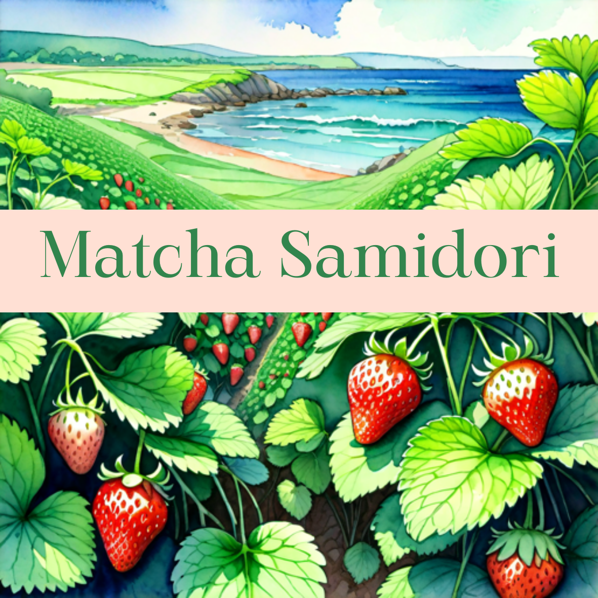 Matcha Samidori | Green Tea