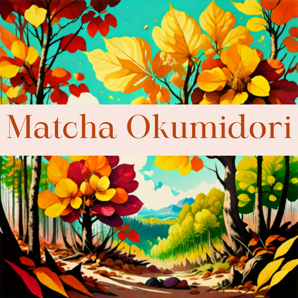 Matcha Okumidori | Green Tea