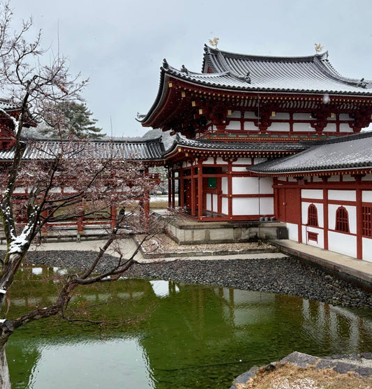 Tea Sourcing Series - Japan: Matcha and Good Ramen