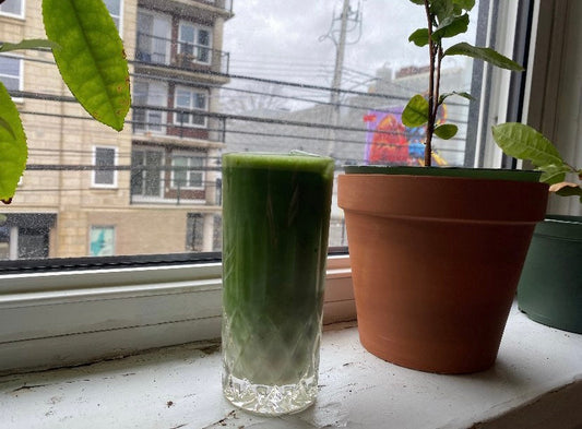 Iced matcha latte on a window sill next to tea plants.