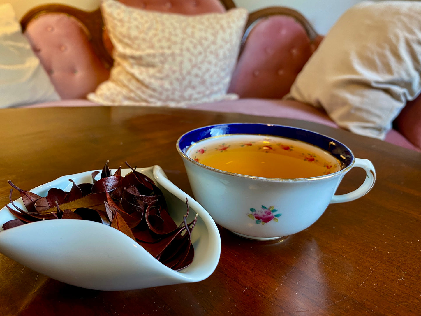 Inkberry | Herbal Tea