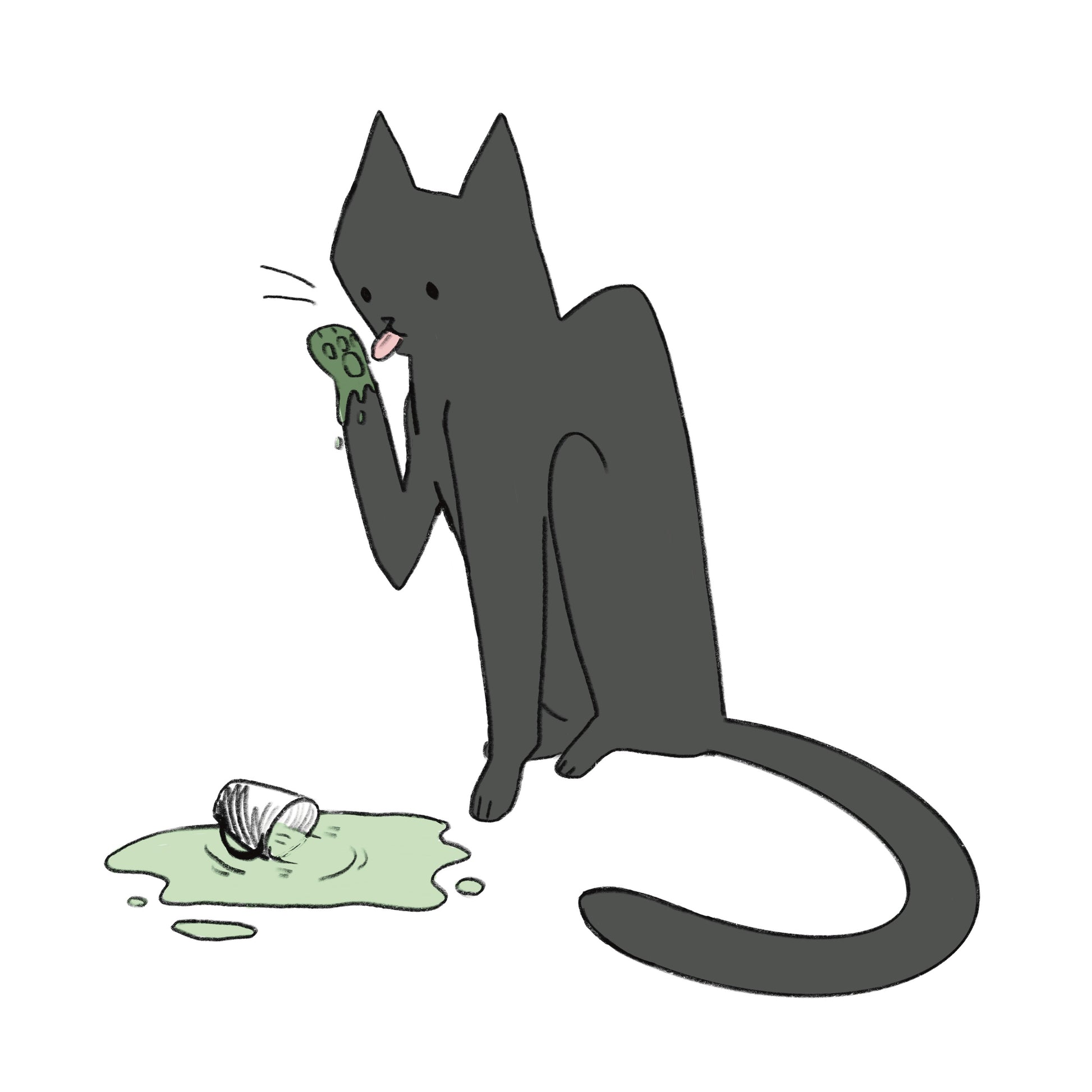 Illustration of a cat with green paw print and a shell on a white background