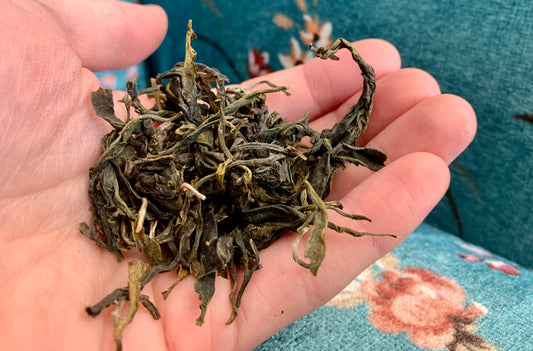 Hand holding a pile of dried green tea tea leaves against a blue floral fabric background