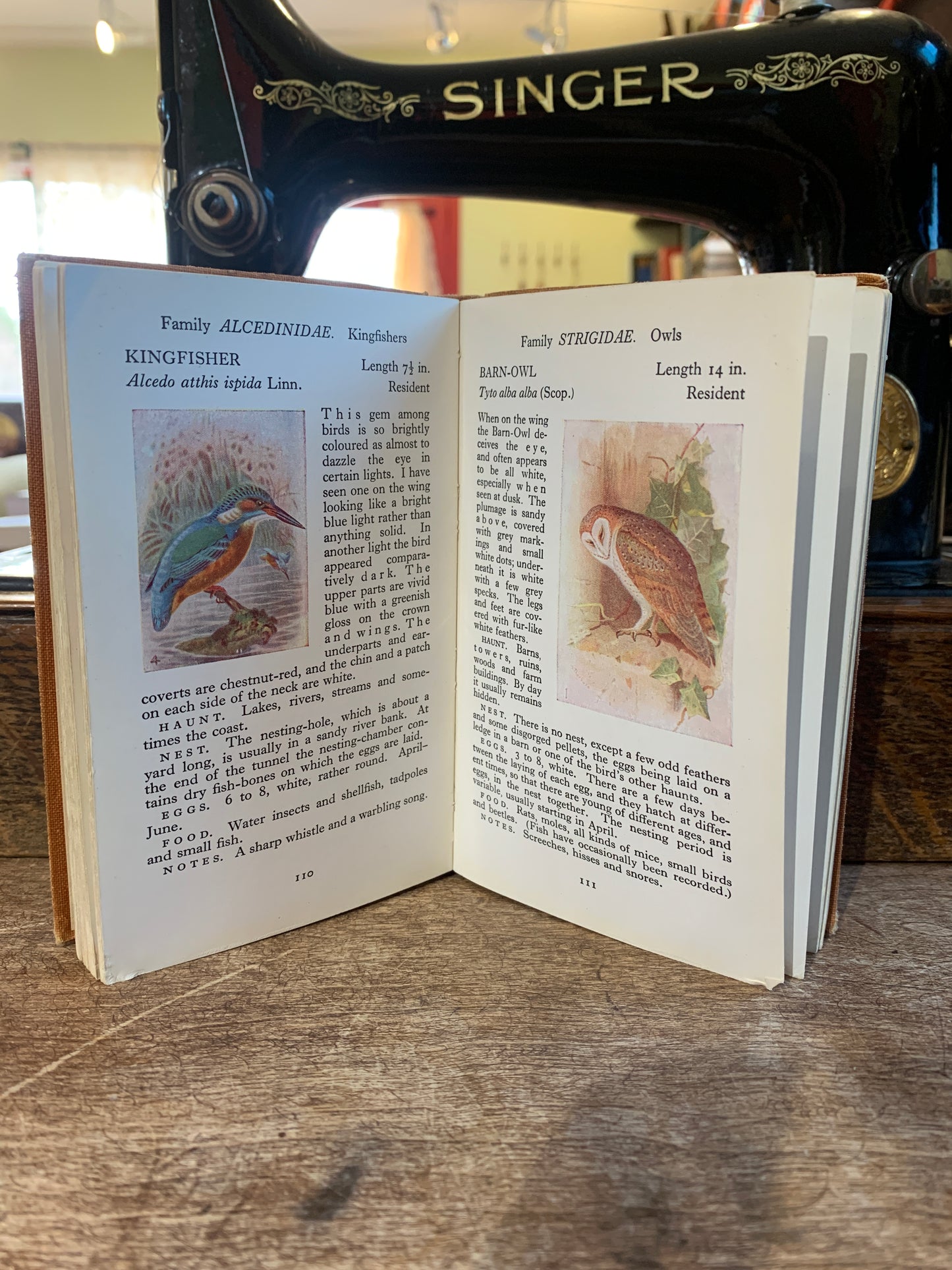 The Observer’s Book of British Birds