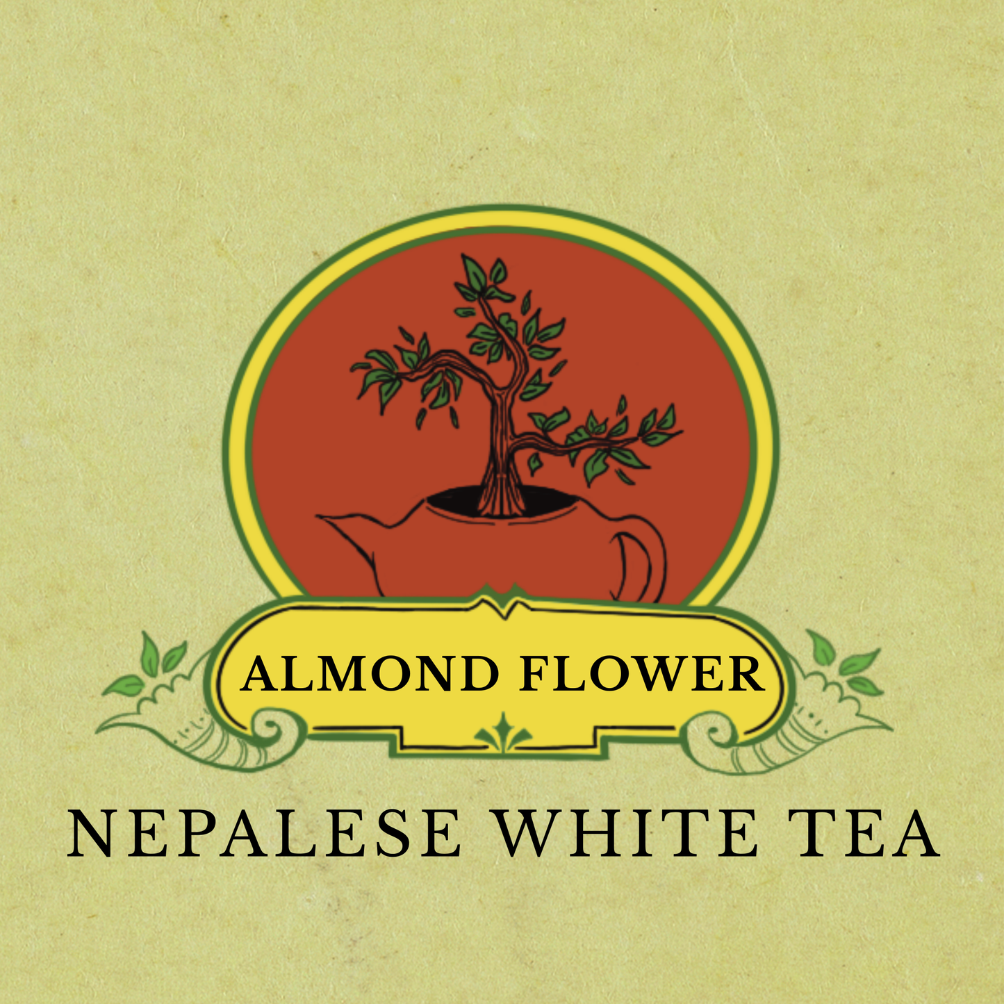 Almond Flower | White Tea