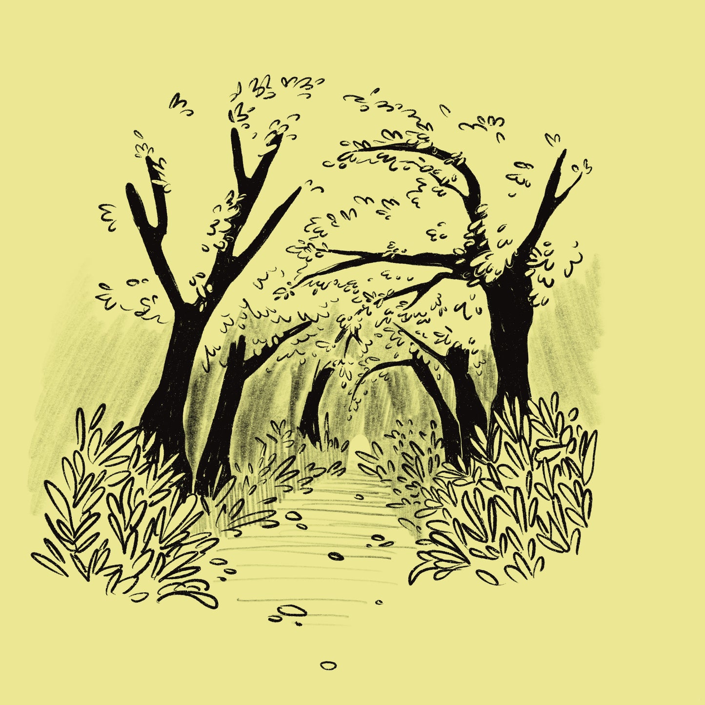 Hidden Path | Bada White Tea