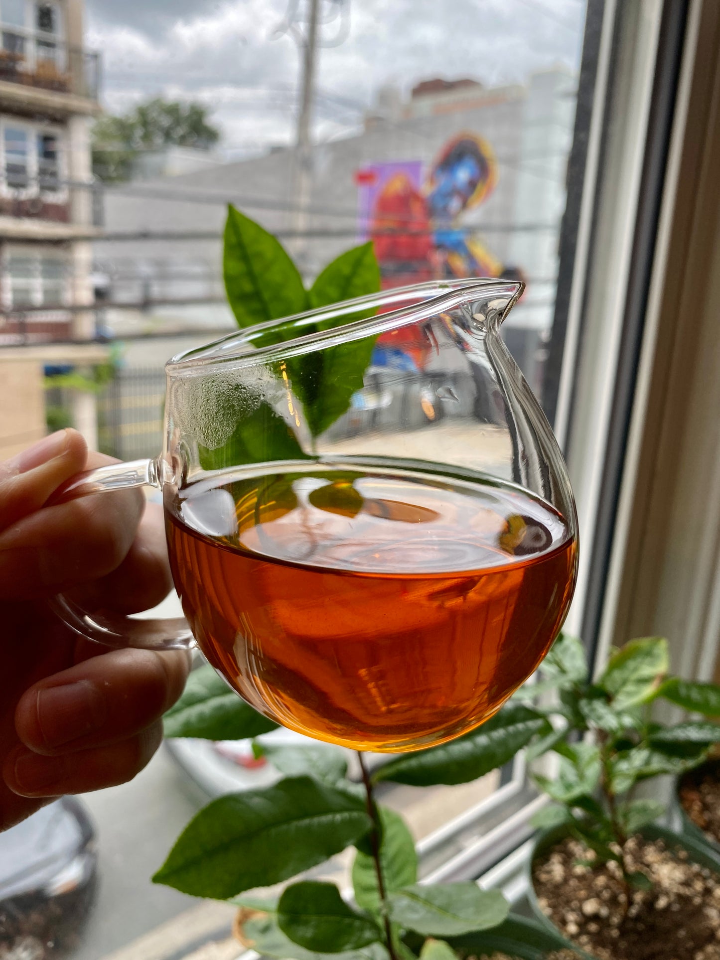 Fruit Salad | Black Tea