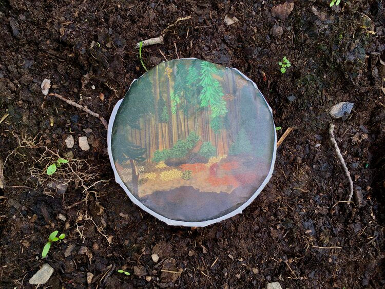 Dreamscape | 2021 Raw Pu'er
