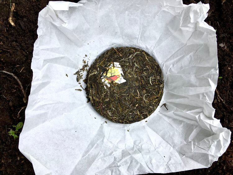 Dreamscape | 2021 Raw Pu'er
