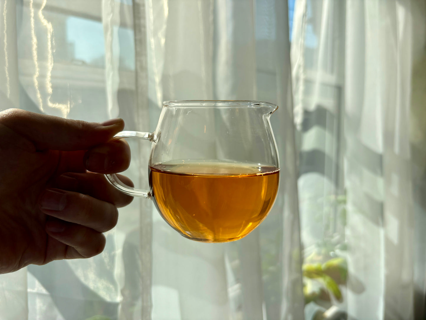 Steeped black tea in a glass pitcher, tea plants in the background.