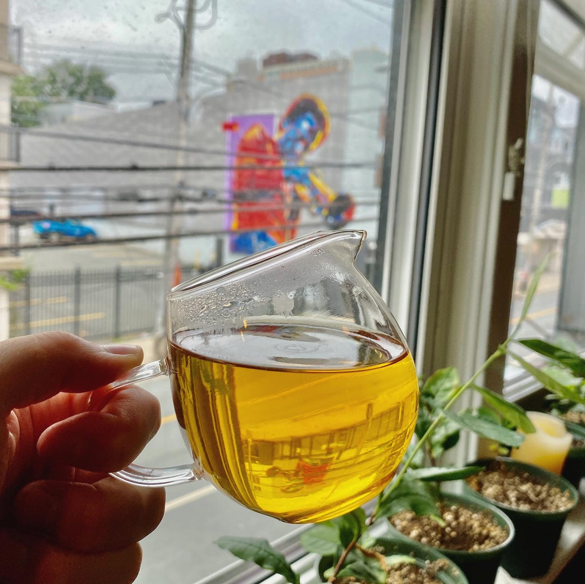 Wildside Tea Wild Side | Nepalese Oolong – Eastern Tea Bar
